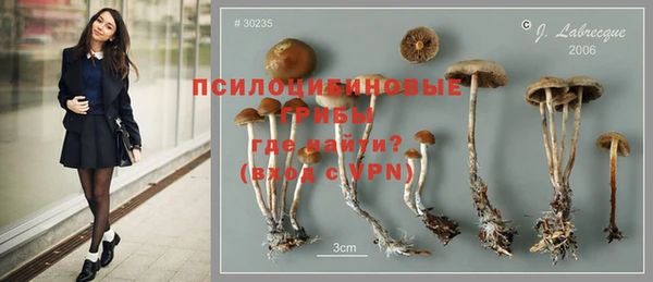 крисы Ладушкин