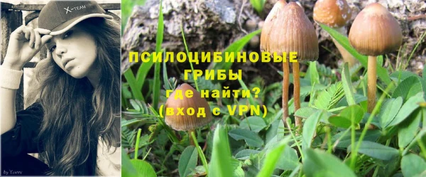 индика Калининец