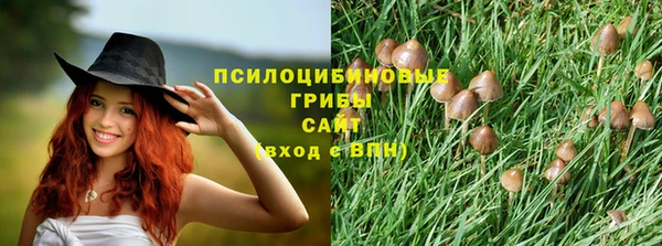 герыч Лагань