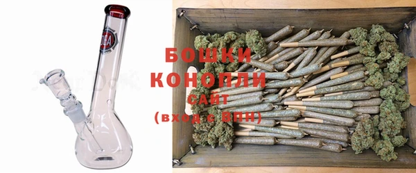 крисы Ладушкин