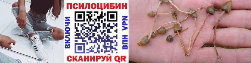 продажа наркотиков  ОМГ ОМГ ссылка  Псилоцибиновые грибы Magic Shrooms  Серпухов 